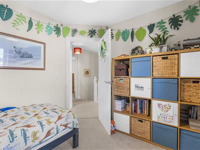 Picture 16